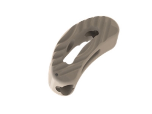 Biomech Transforaminal Lumbar Interbody Fusion Peek Cage (Tlif)